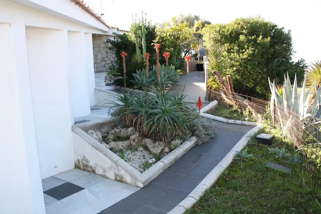 Vitardiere Marbella İspanya